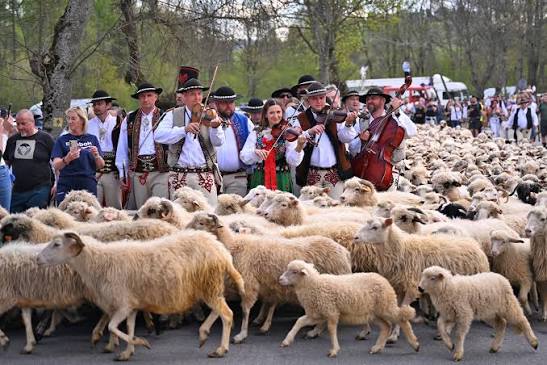 REDYK - GÓRSKA TRADYCJA